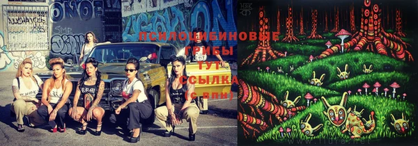 MDMA Premium VHQ Гусиноозёрск