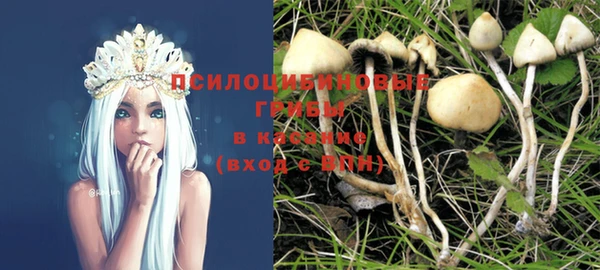 твердый Горняк
